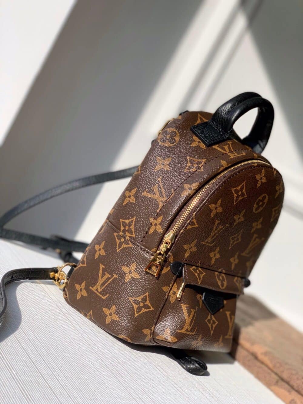 LOUIS VUITTON PALM SPRINGS MINI BACKPACK 22CM M44873 - Image 8