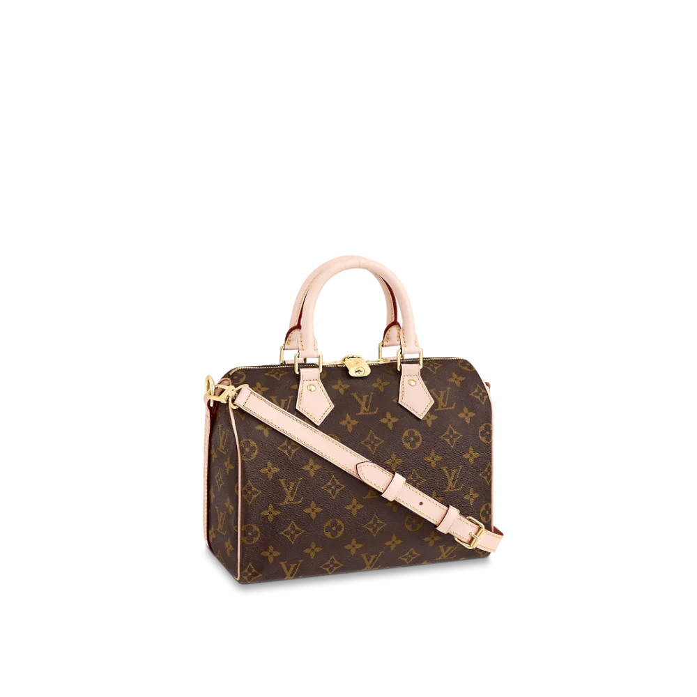 LOUIS VUITTON SPEEDY BANDOULIÈRE  25 M41113
