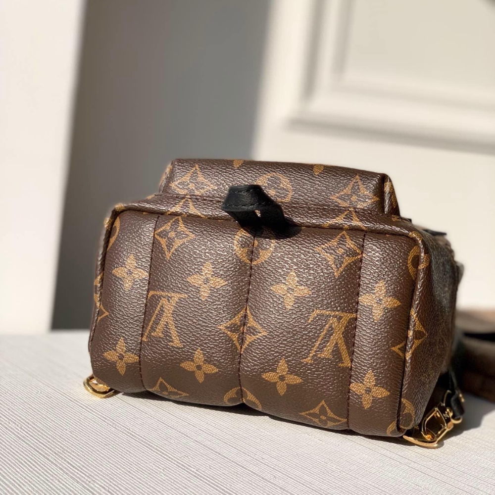 Louis Vuitton Palm Springs Mini Backpack 22Cm M44873 - Image 3