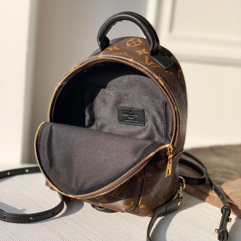 Louis Vuitton Palm Springs Mini Backpack 22Cm M44873 - Image 7