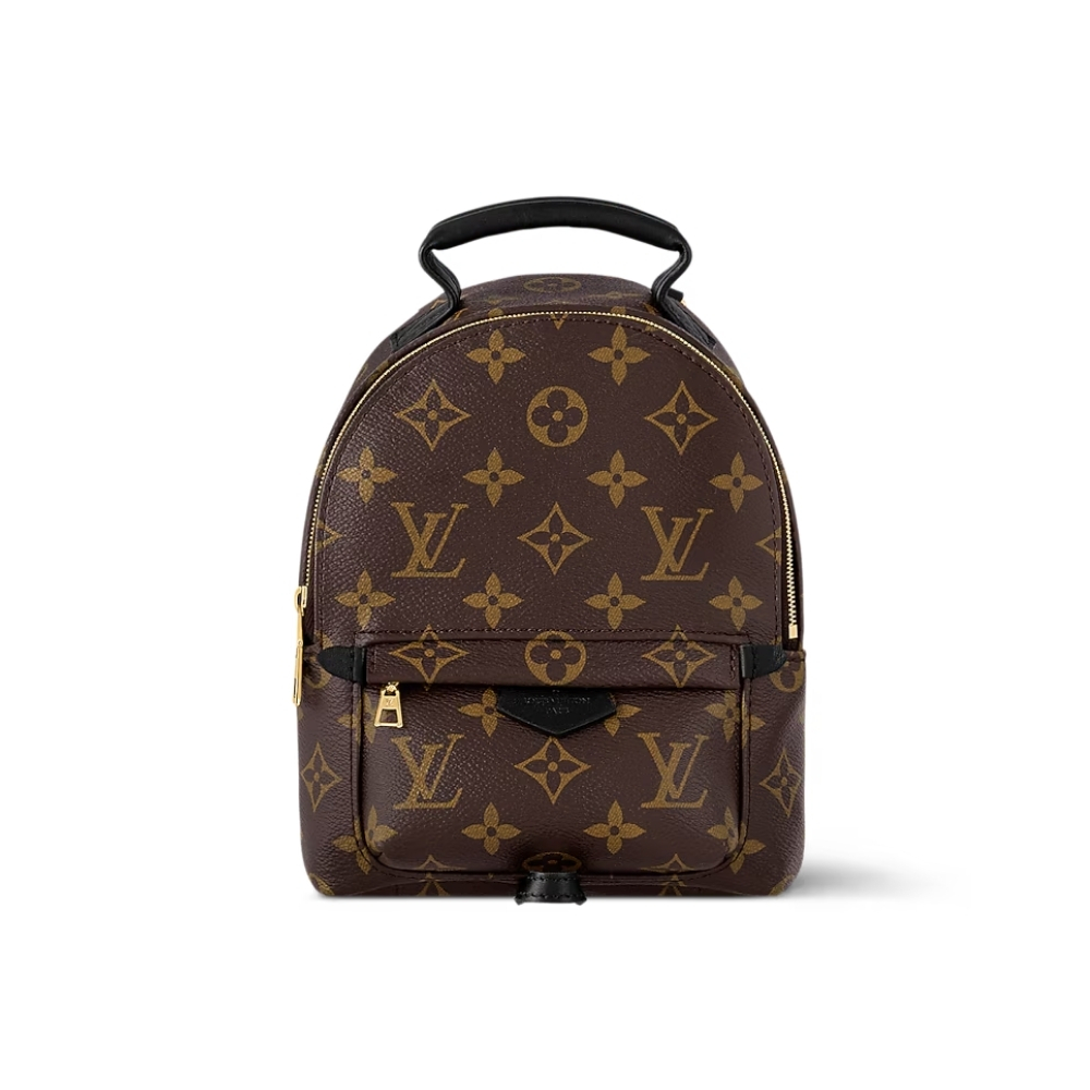 LOUIS VUITTON PALM SPRINGS MINI BACKPACK 22CM M44873