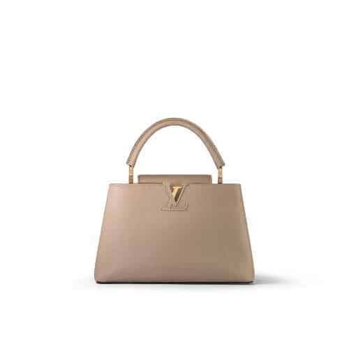 LOUIS VUITTON CAPUCINES MM GREY 31CM M42253