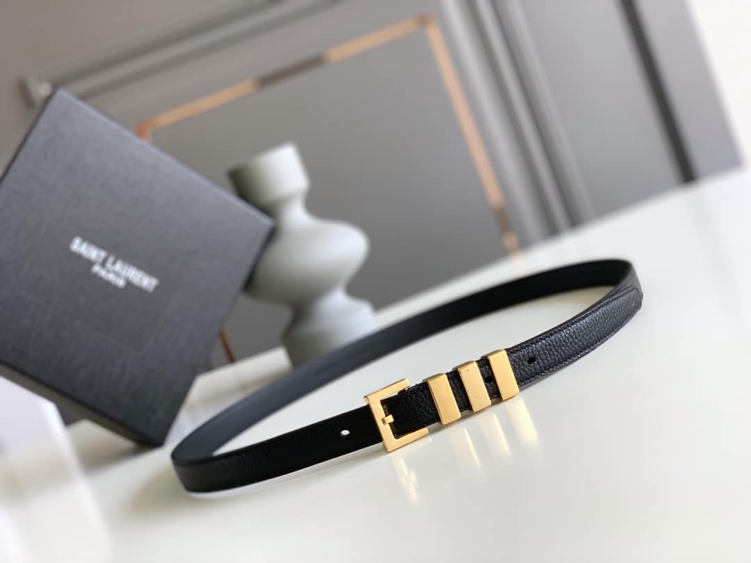 SAINT LAURENT UNISEX BROWN AND GOLD SUEDE LEATHER CLASSIC 3 PASSANTS BELT 314629 2551 - Image 5