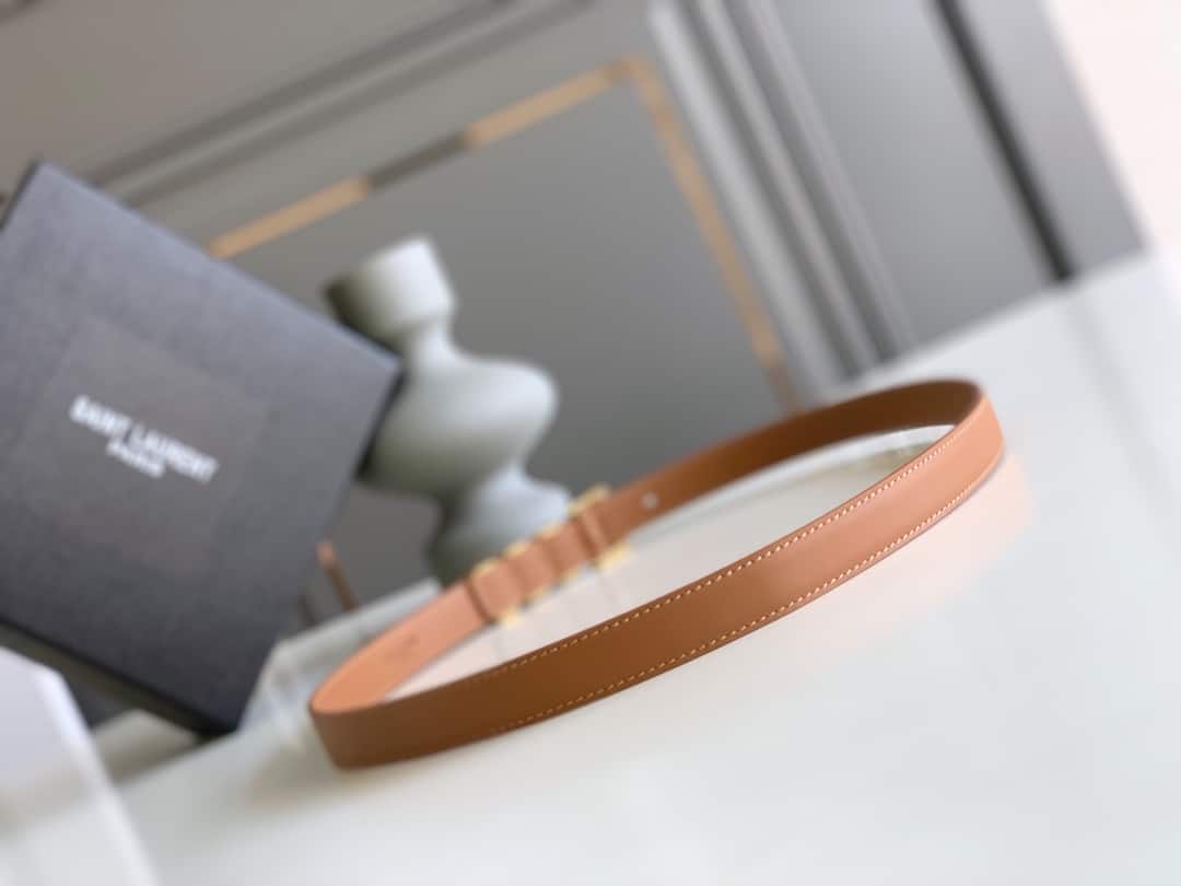 SAINT LAURENT PASSANTS BROWN AND GOLD BELT 3146292551 - Image 5