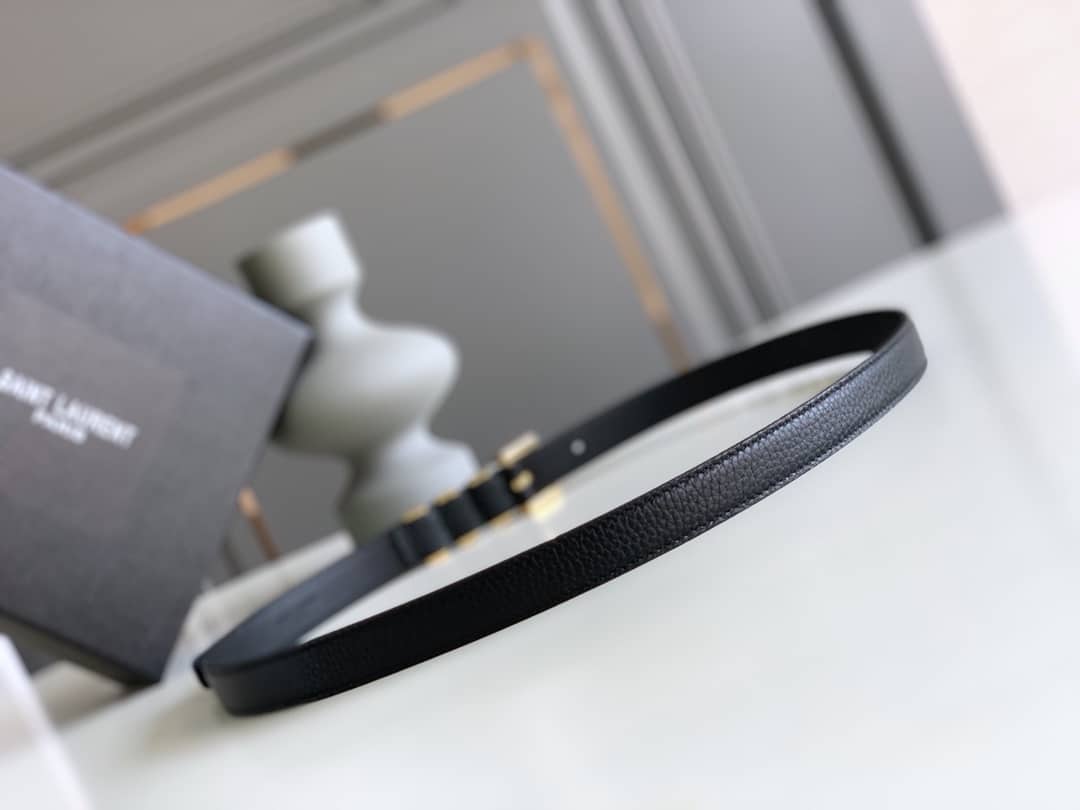 SAINT LAURENT UNISEX BROWN AND GOLD SUEDE LEATHER CLASSIC 3 PASSANTS BELT 314629 2551 - Image 6