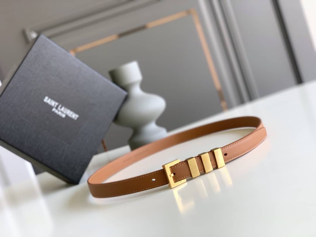 SAINT LAURENT PASSANTS BROWN AND GOLD BELT 3146292551 - Image 6