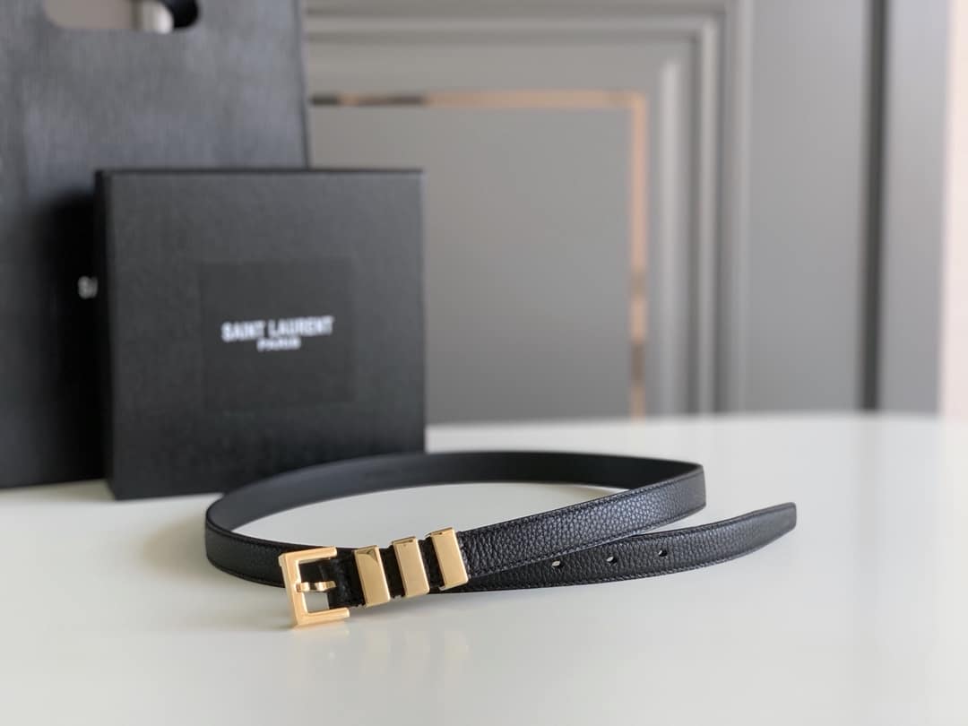 SAINT LAURENT UNISEX BROWN AND GOLD SUEDE LEATHER CLASSIC 3 PASSANTS BELT 314629 2551 - Image 7