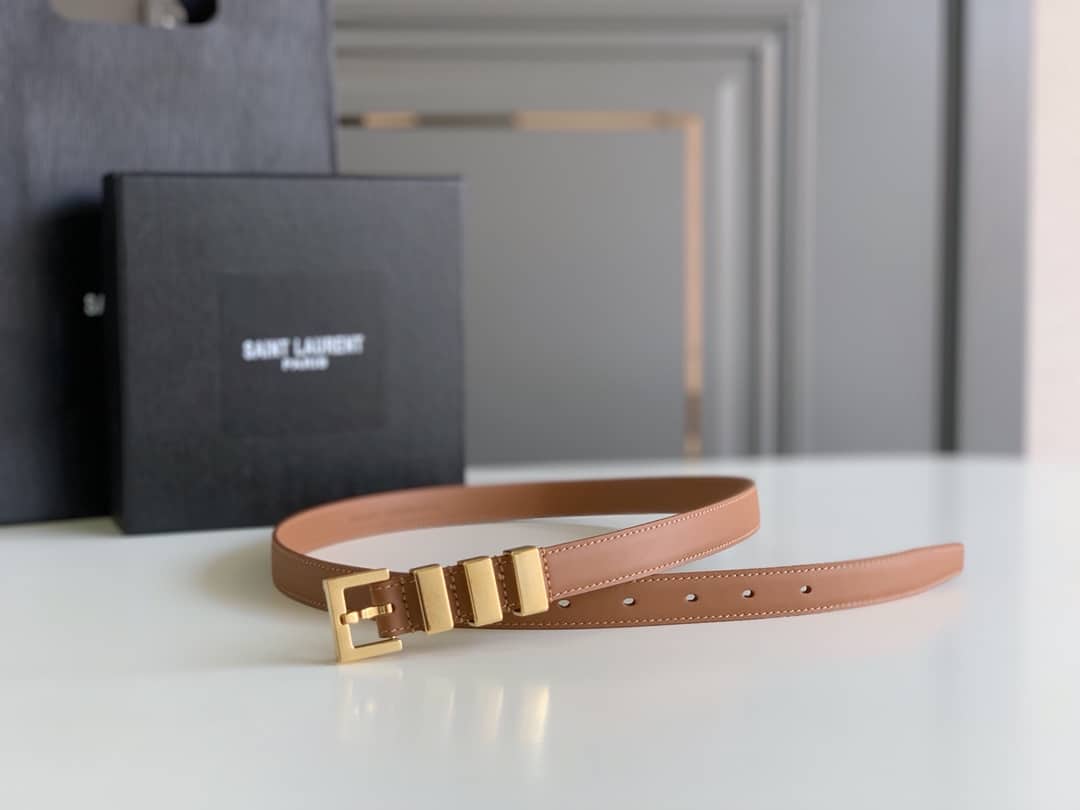 SAINT LAURENT PASSANTS BROWN AND GOLD BELT 3146292551 - Image 7