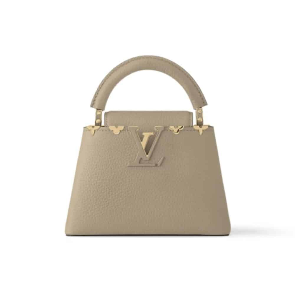LOUIS VUITTON CAPUCINES MINI GALET 20CM M11342