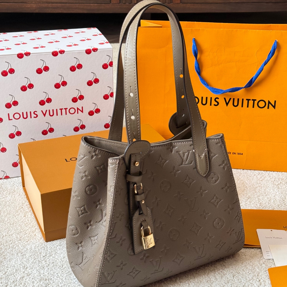 LOUIS VUITTON ALL IN ONE PM SMOKE 27CM M25890 - Image 5