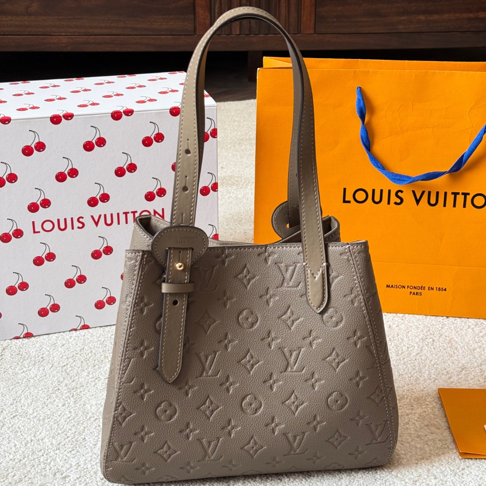 LOUIS VUITTON ALL IN ONE PM SMOKE 27CM M25890 - Image 4