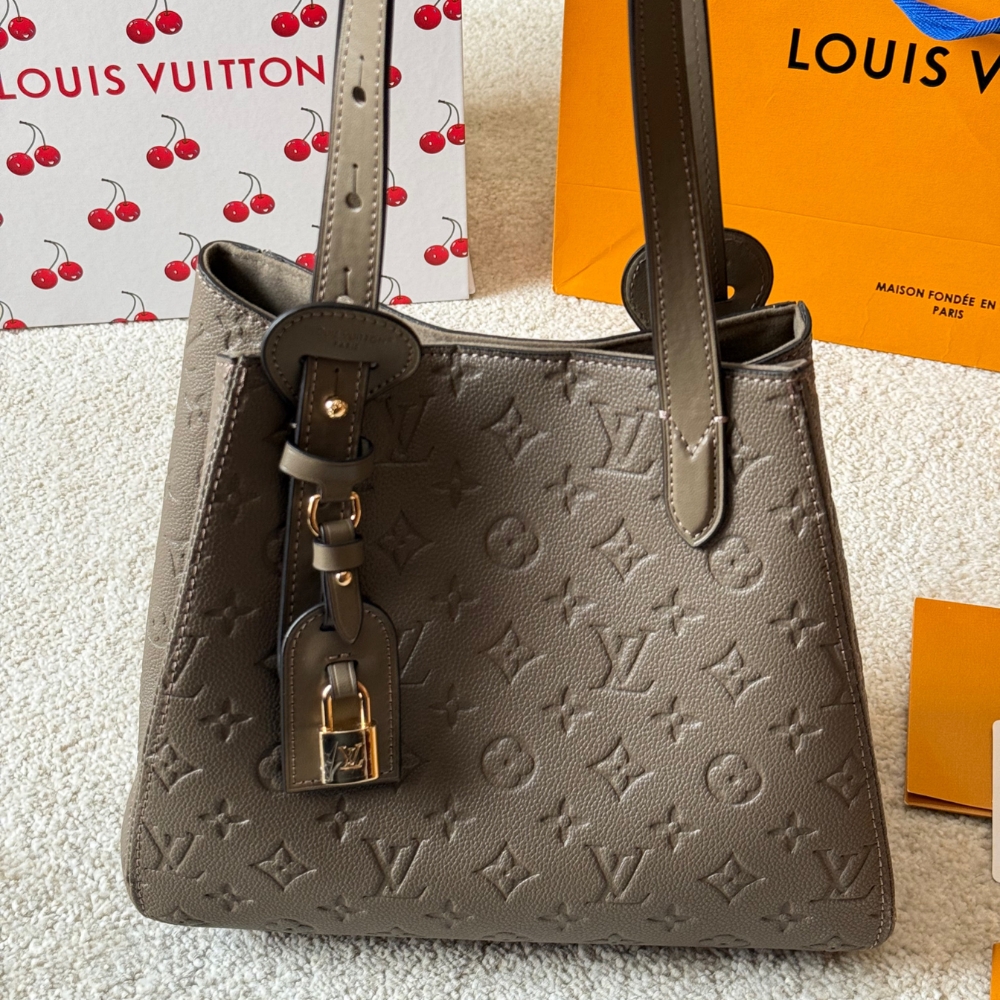 LOUIS VUITTON ALL IN ONE PM SMOKE 27CM M25890 - Image 3
