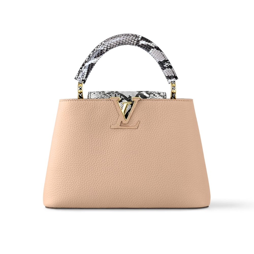 Louis Vuitton Capucines BB Brown 27Cm N92041