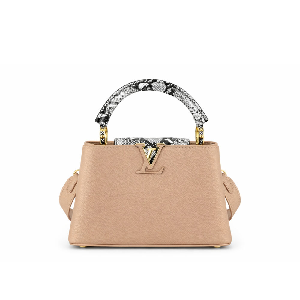 Louis Vuitton Capucines BB Brown 27Cm N92041